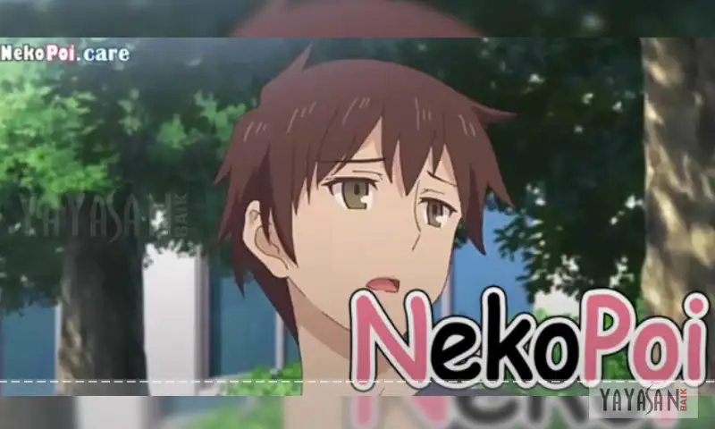 Fitur Terbaik Dari Nekopoi Care Apk Mod