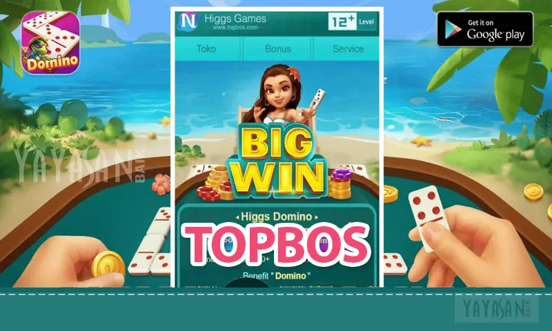 Hack Chip Higgs Domino Topbos