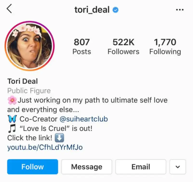 Inspirasi Bio IG Aesthetic