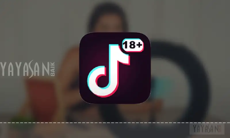 Link Download TikTok 18 Plus APK