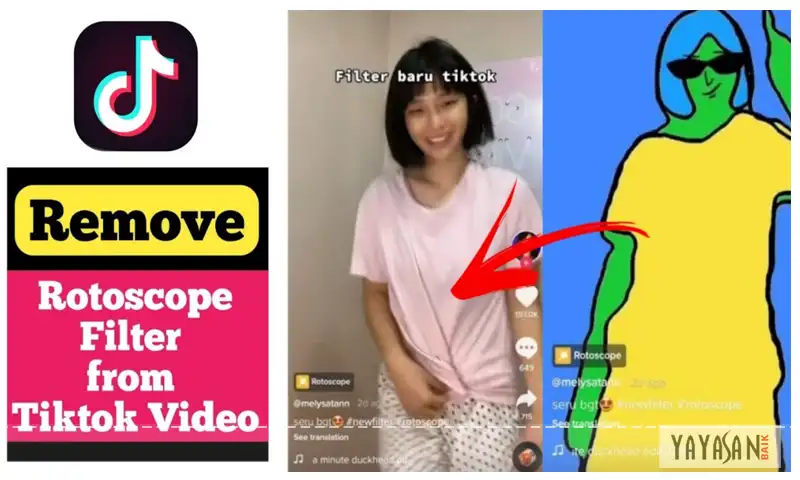 Rotoscope filter remover