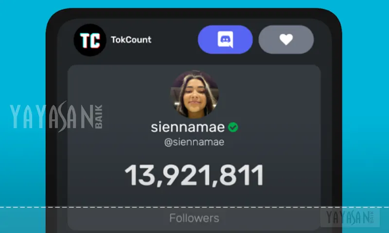 Tokcount Tiktok Aplikasi Counter