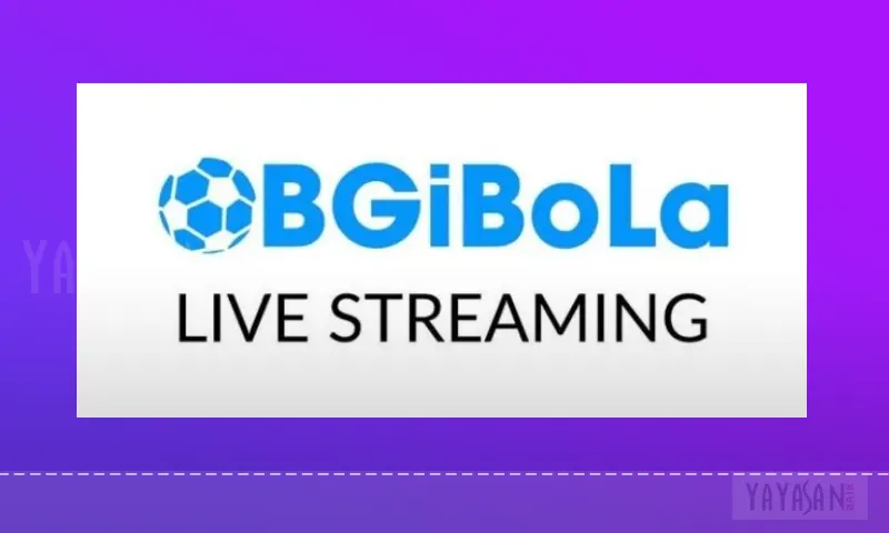 apa itu BGibola Apk