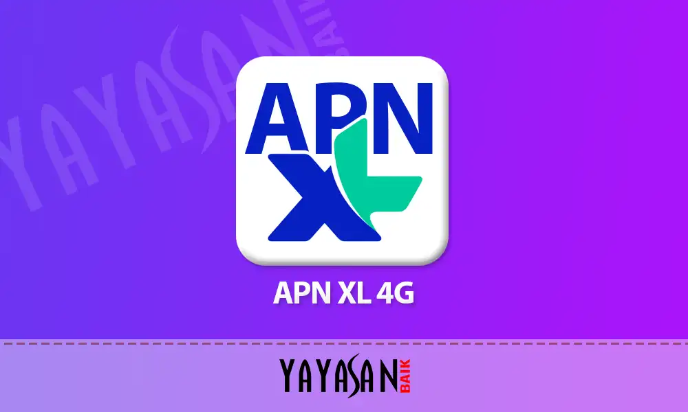 apn xl