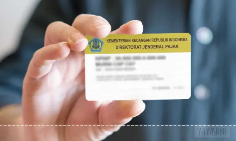 kartu npwp
